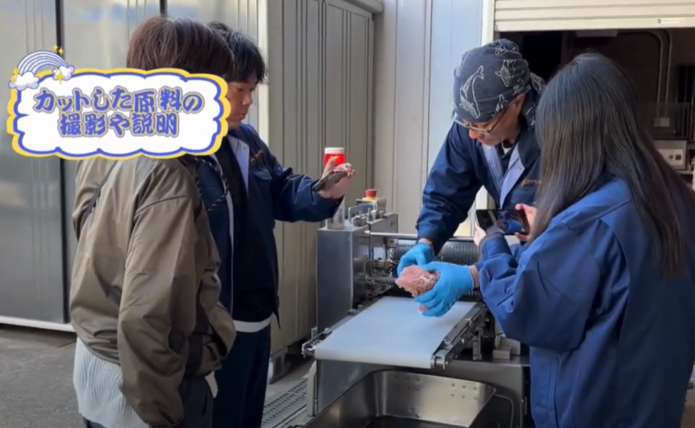 デモテストについて